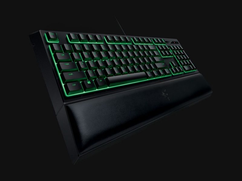 Razer Ornata