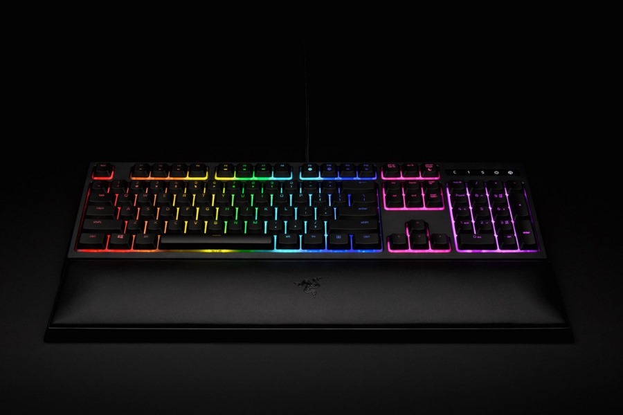 Ornata Chroma