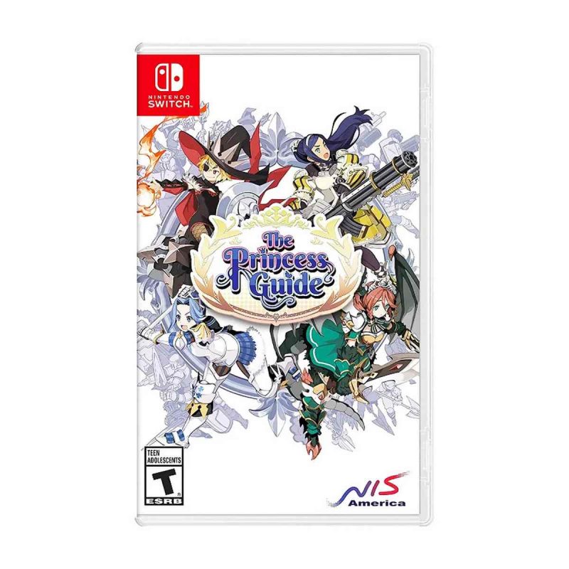 the princess guide nintendo switch