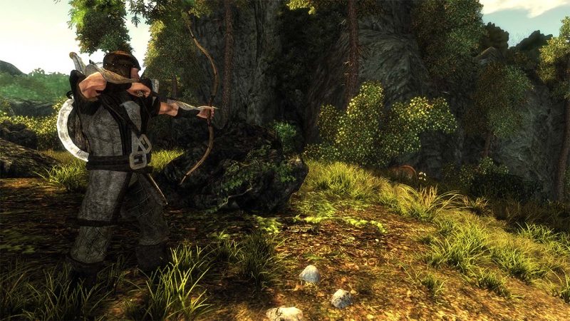 Risen - Nintendo Switch